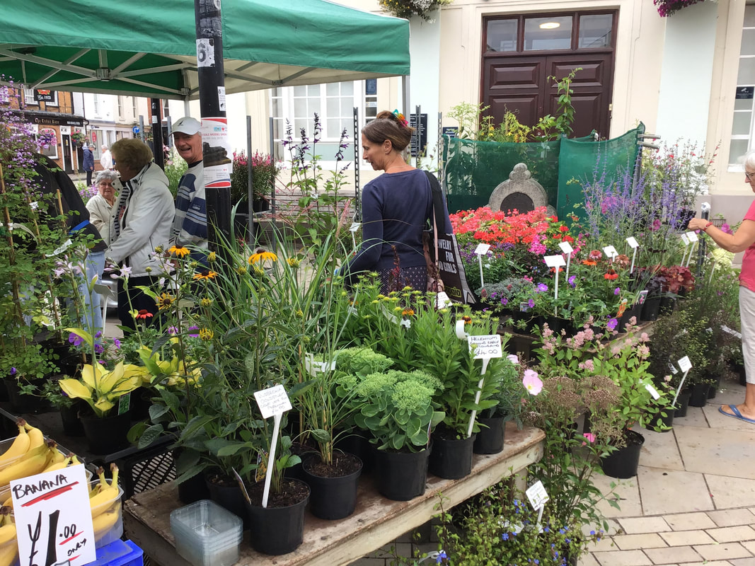 Romsey Department Store Bradbeers